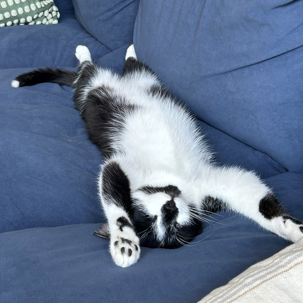 Tux