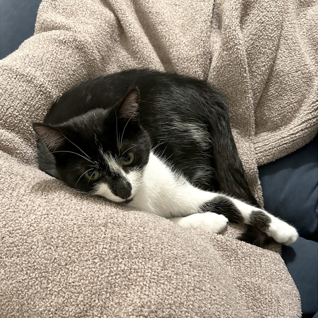 Tux