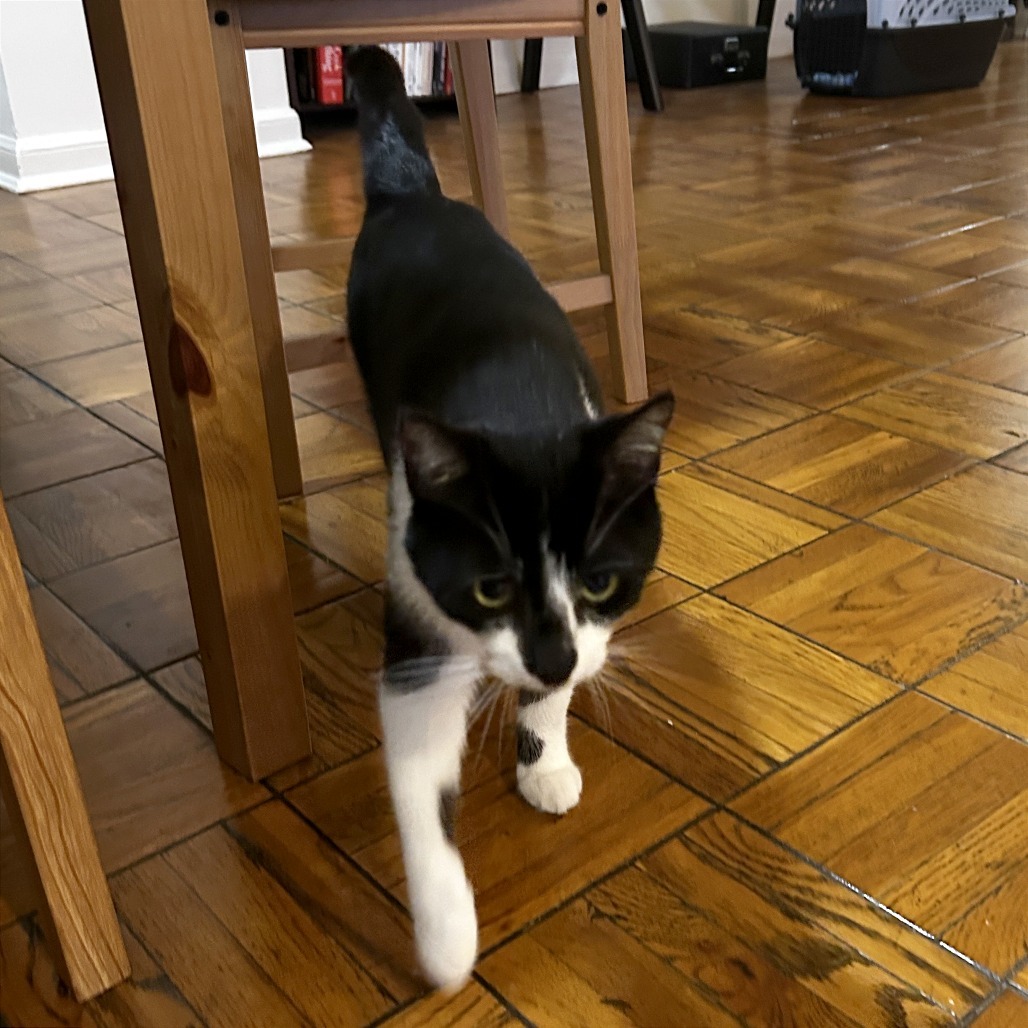 Tux