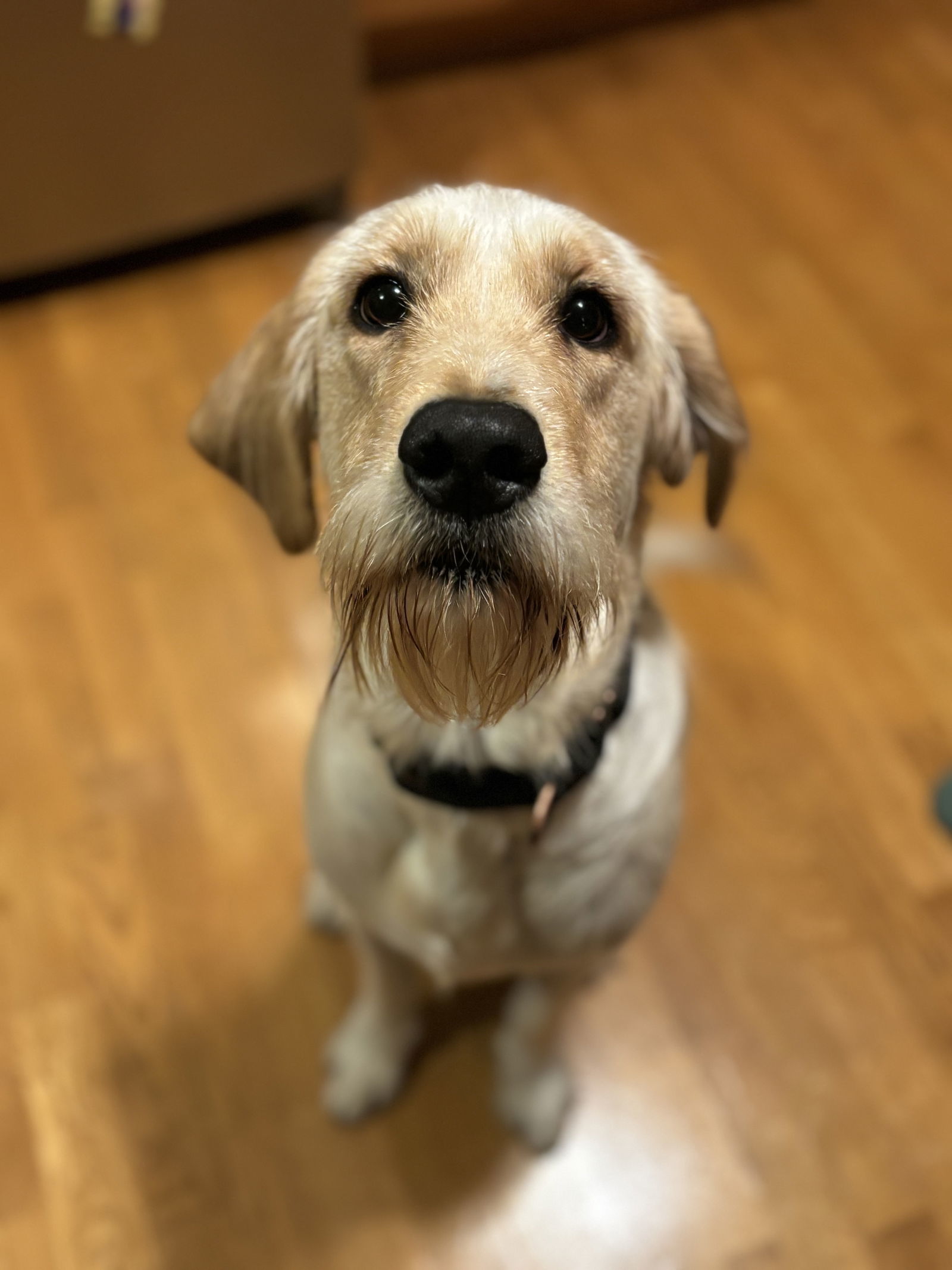 Marley