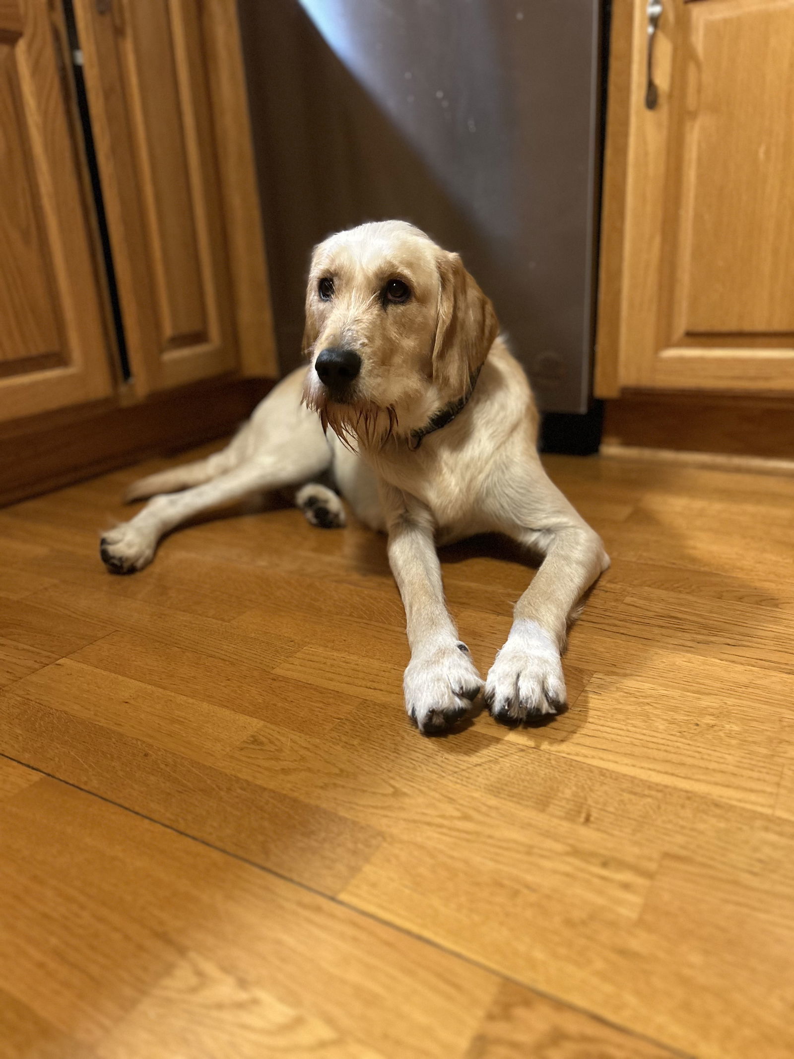 Marley