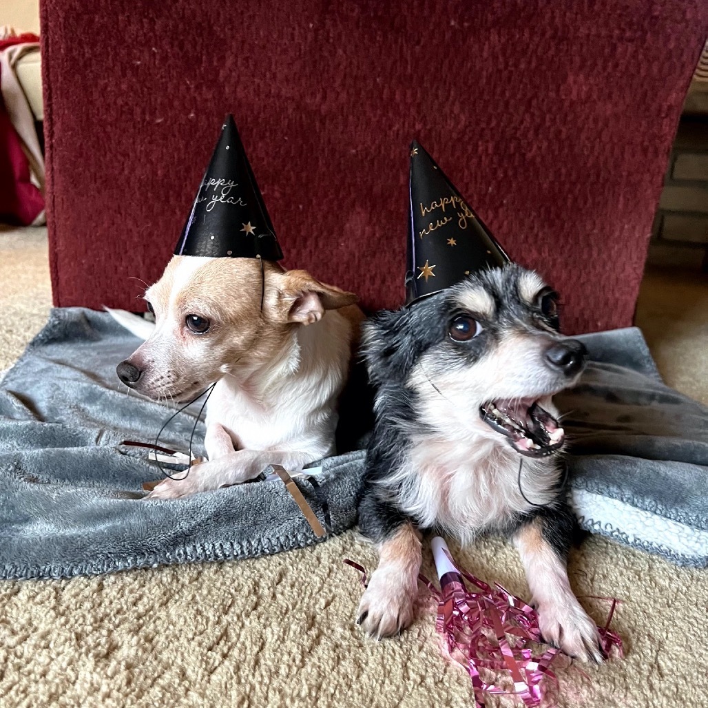 Cricket (bonded with Trixie) D19162