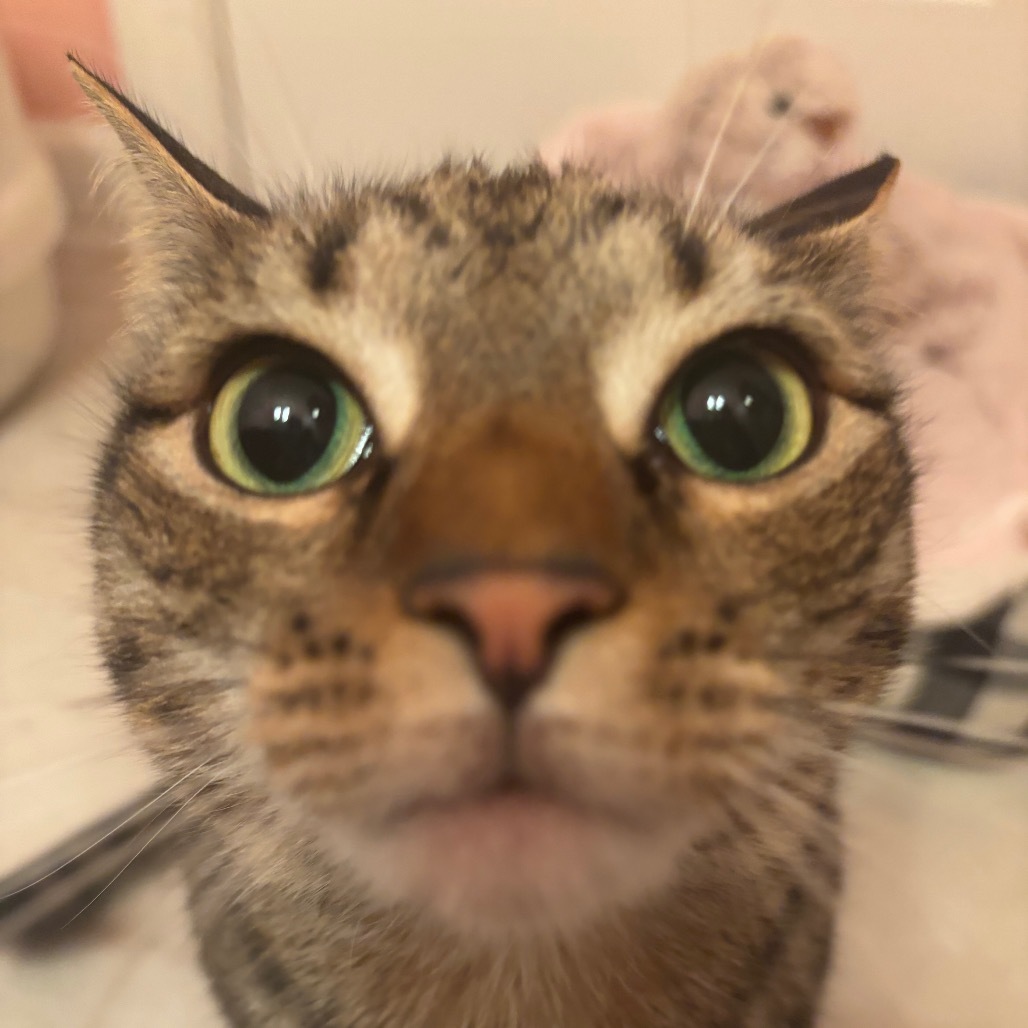 Penelope