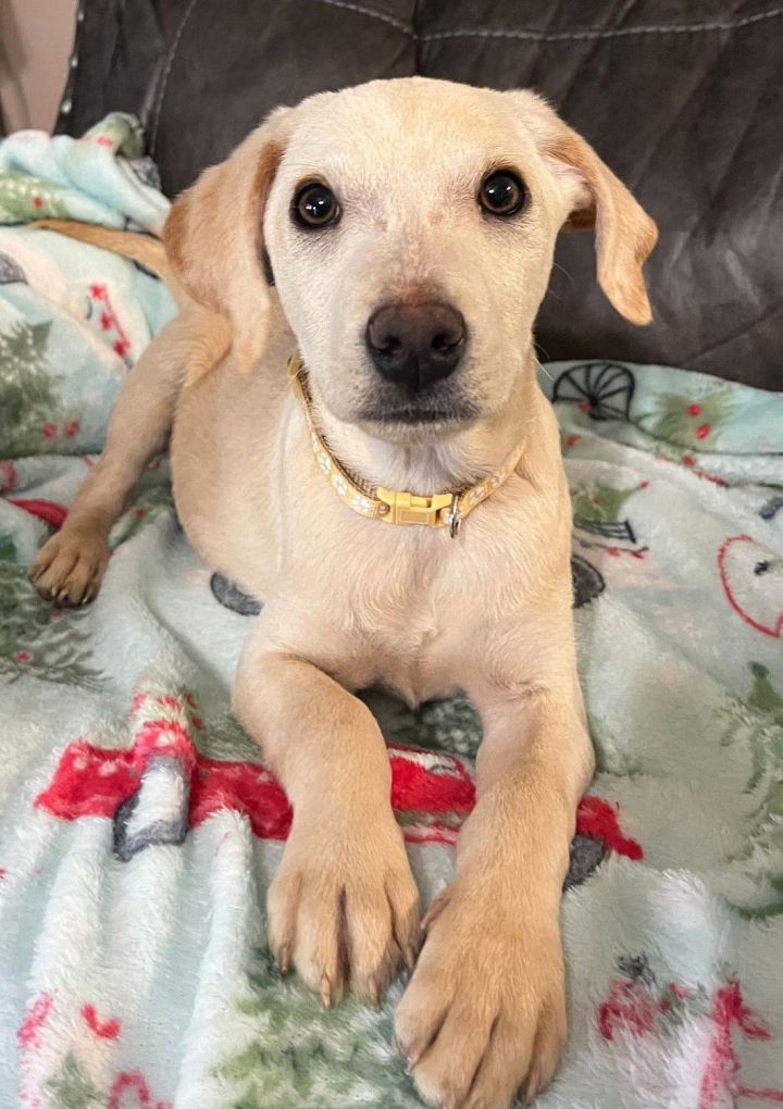Toby Jr - Too Cute! 1