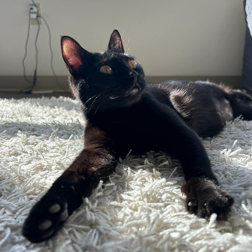 Luna