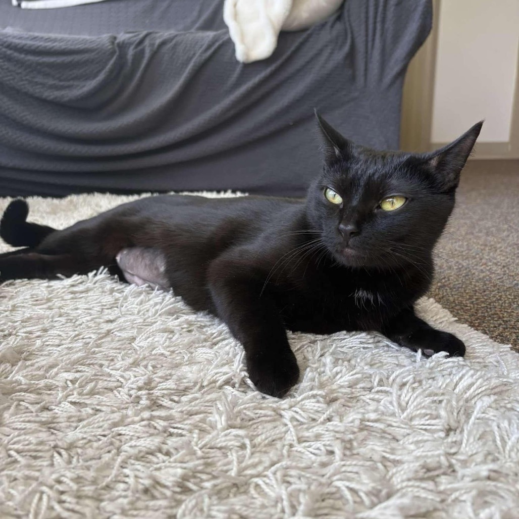 Luna