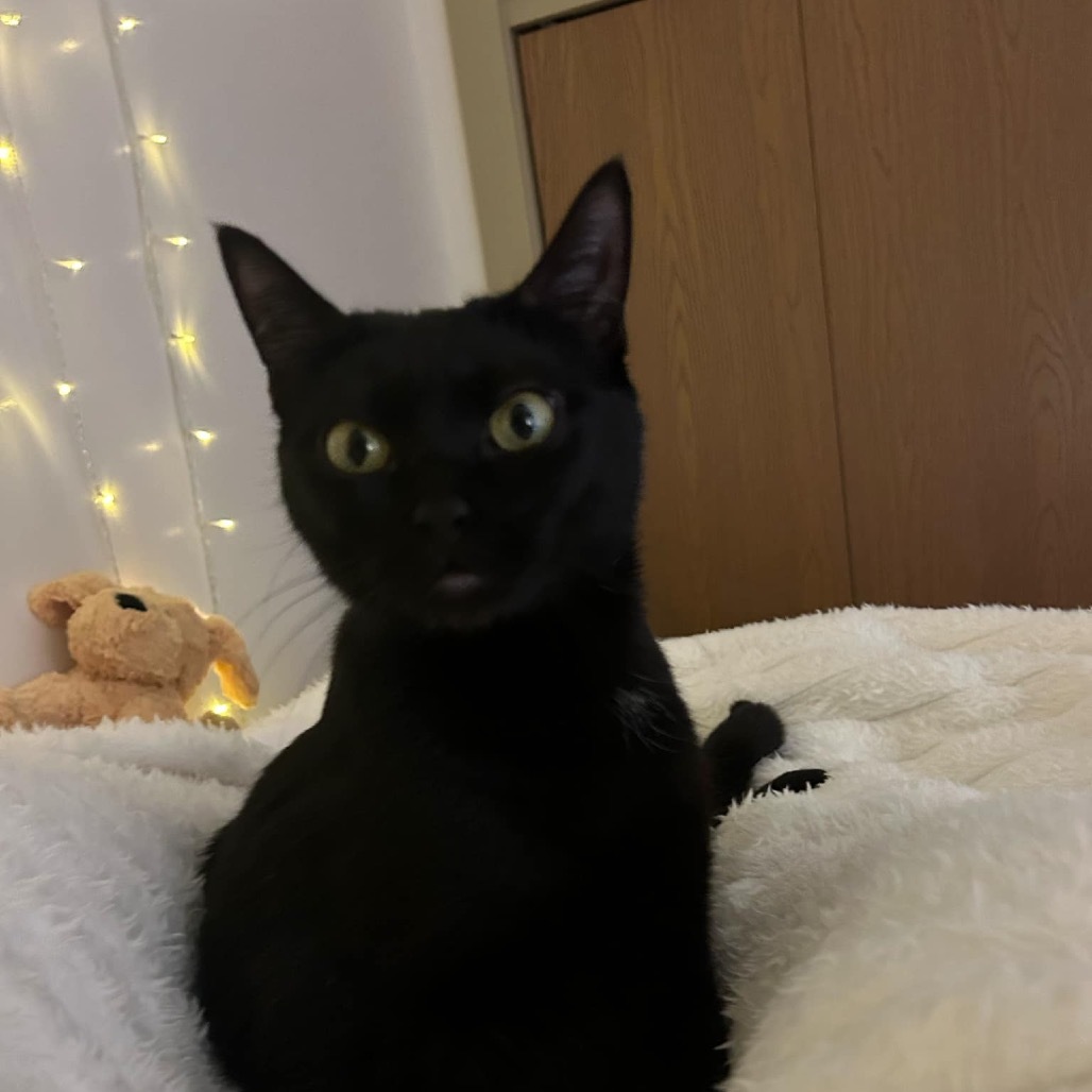 Luna