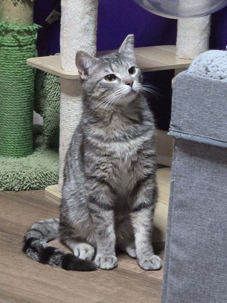 Astro