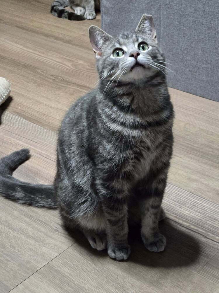 Arlo