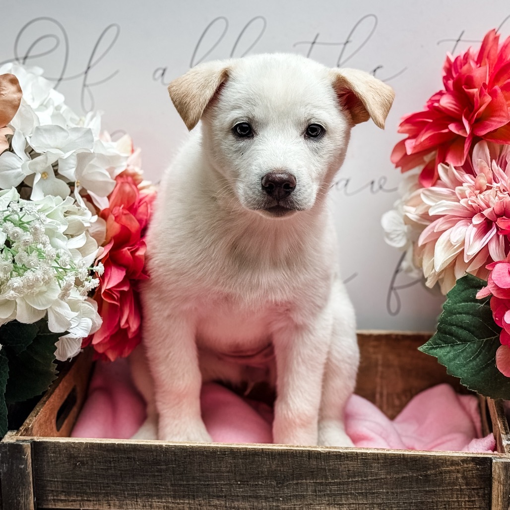 Winifred