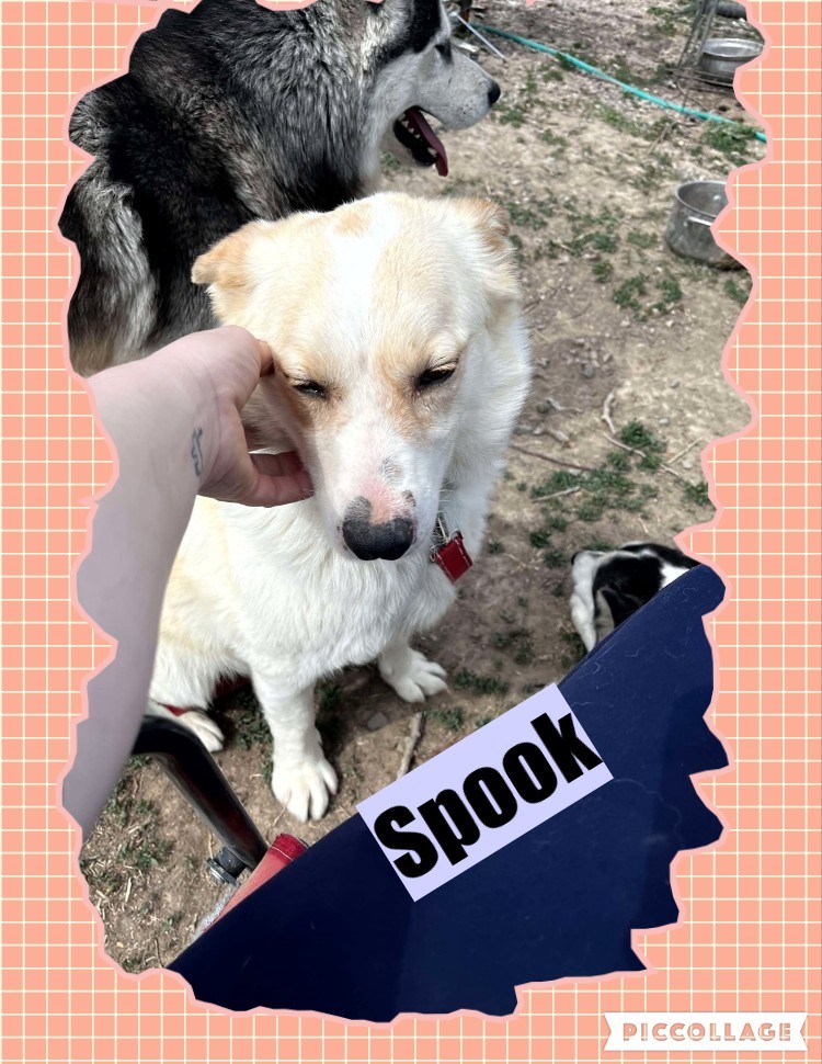 Spook