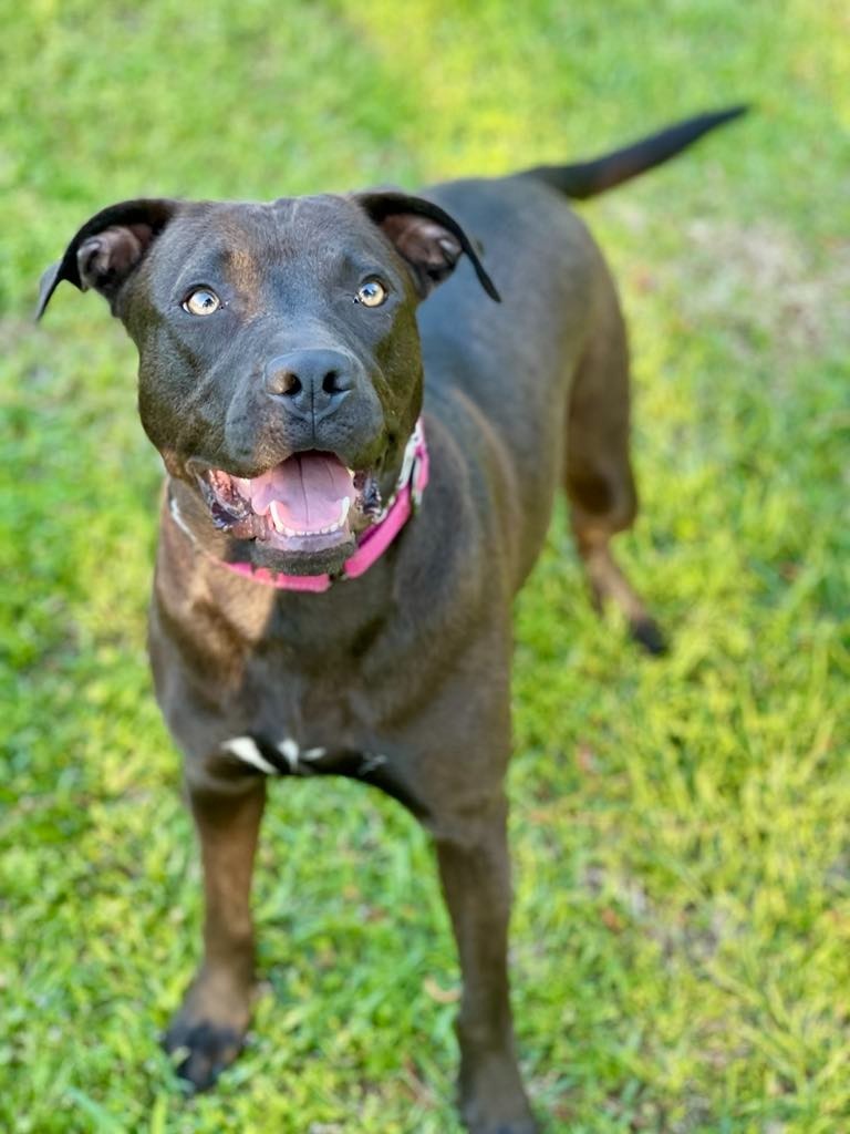 Molly