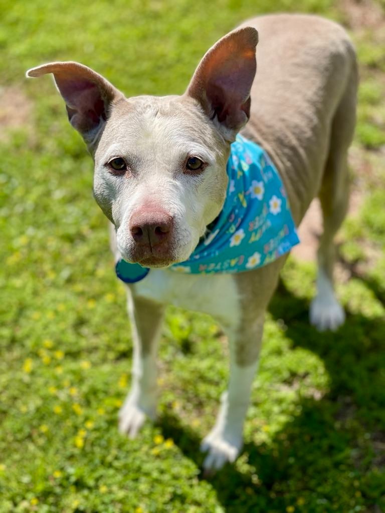 Doris aka Dora