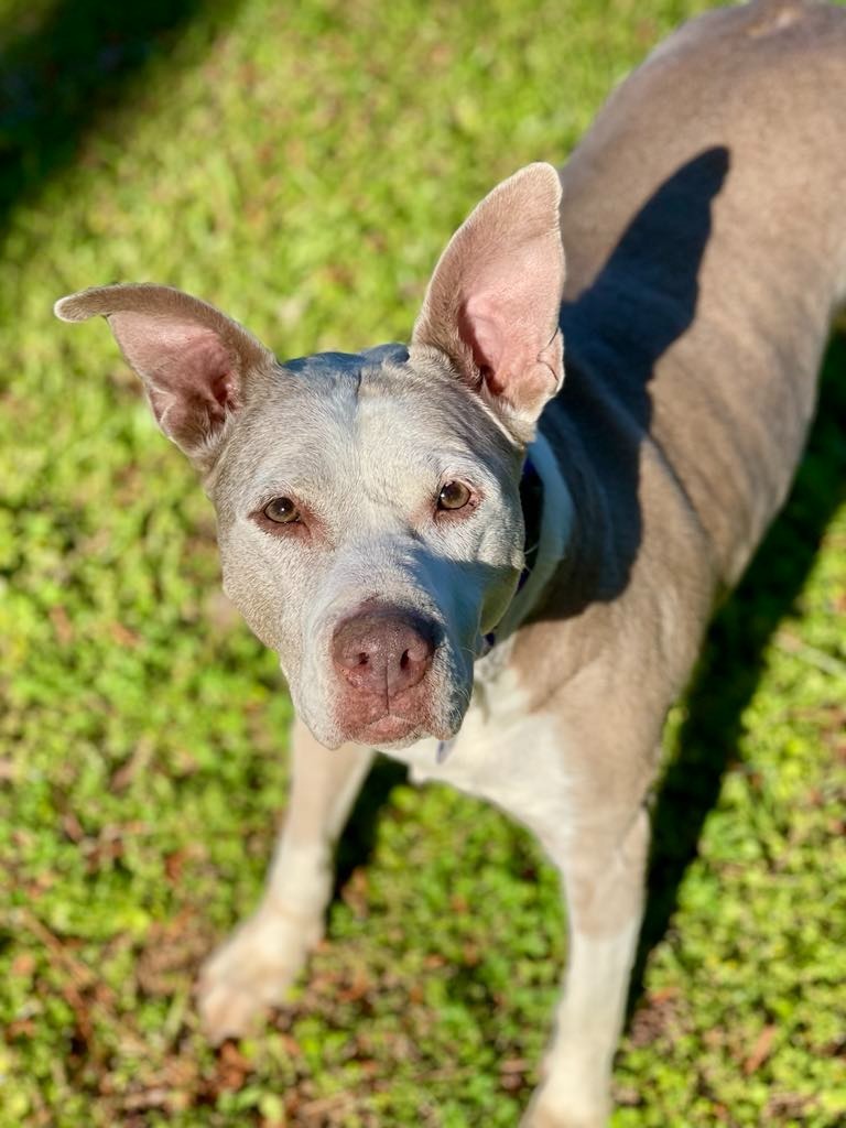 Doris aka Dora