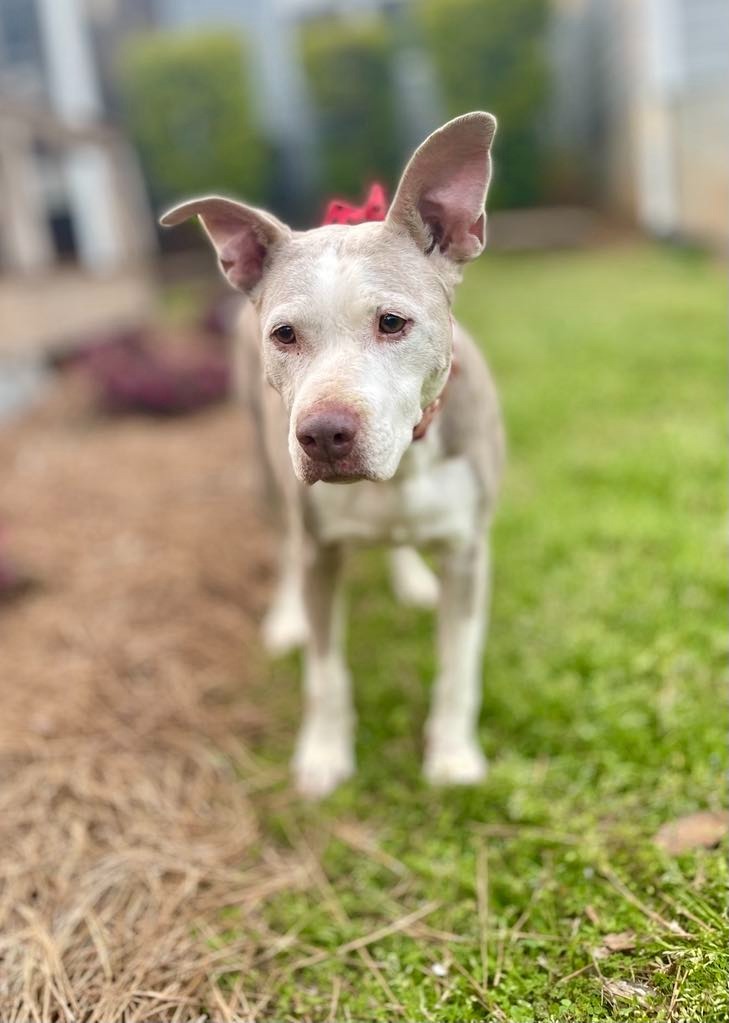 Doris aka Dora