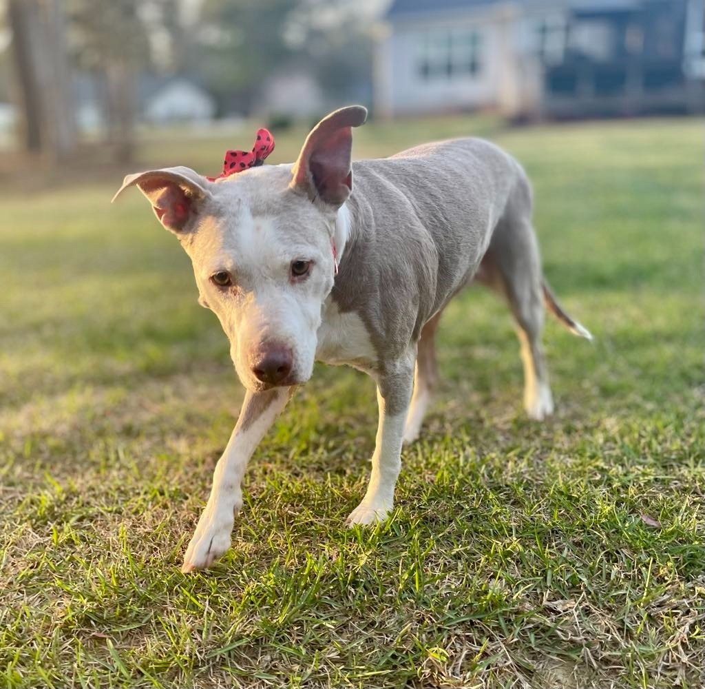 Doris aka Dora