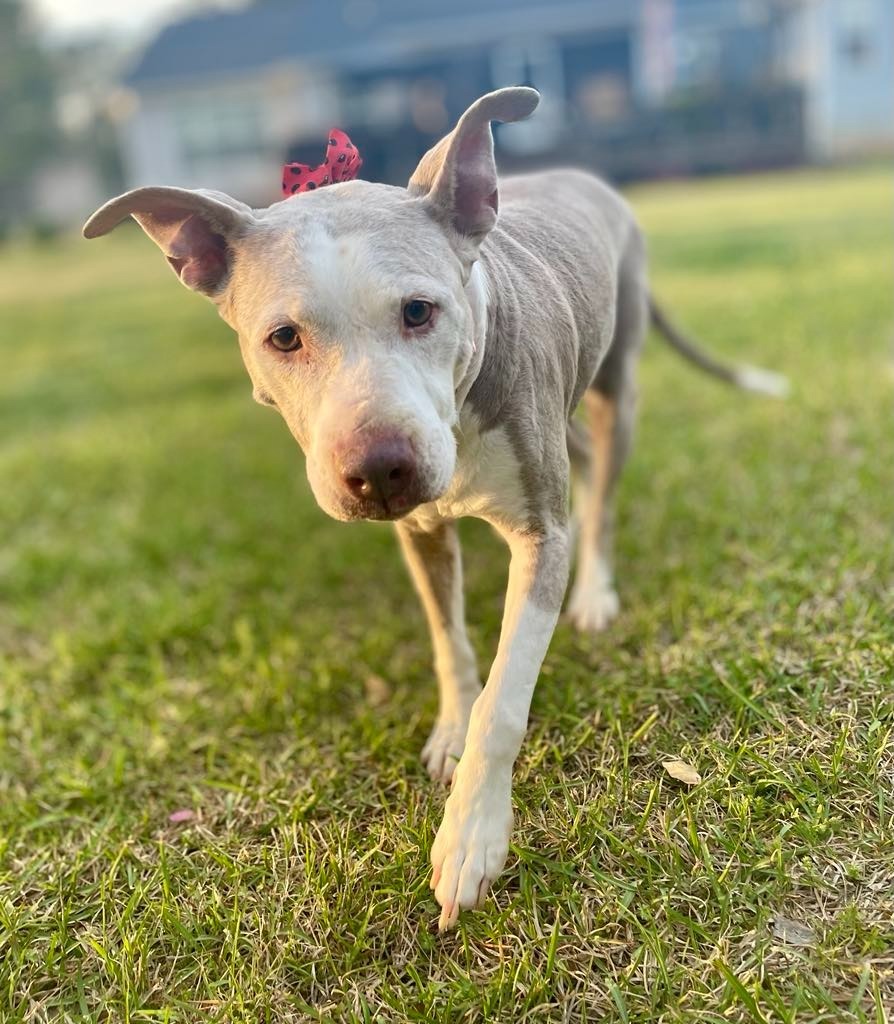 Doris aka Dora
