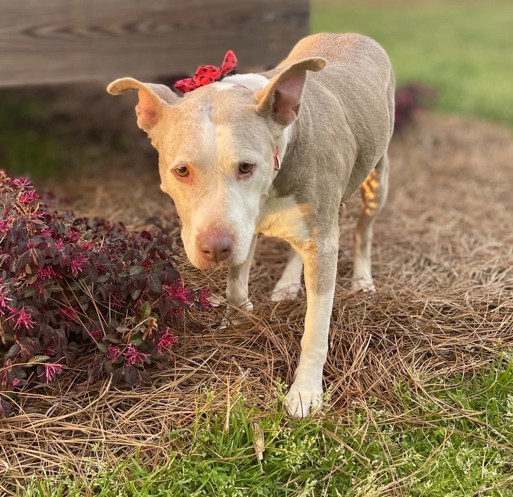 Doris aka Dora