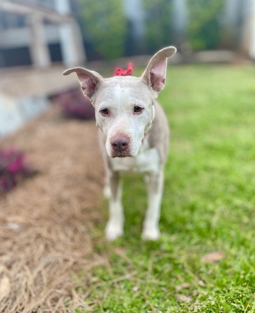 Doris aka Dora