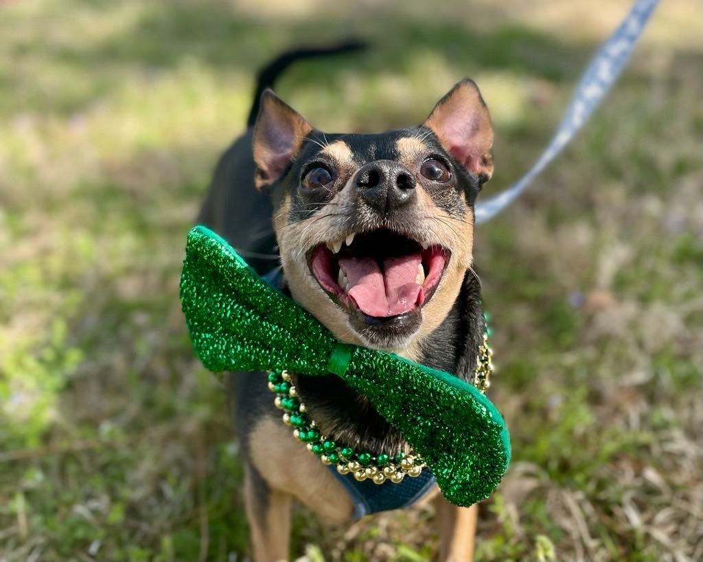 Fiona