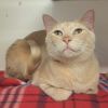 Nigel photo 2