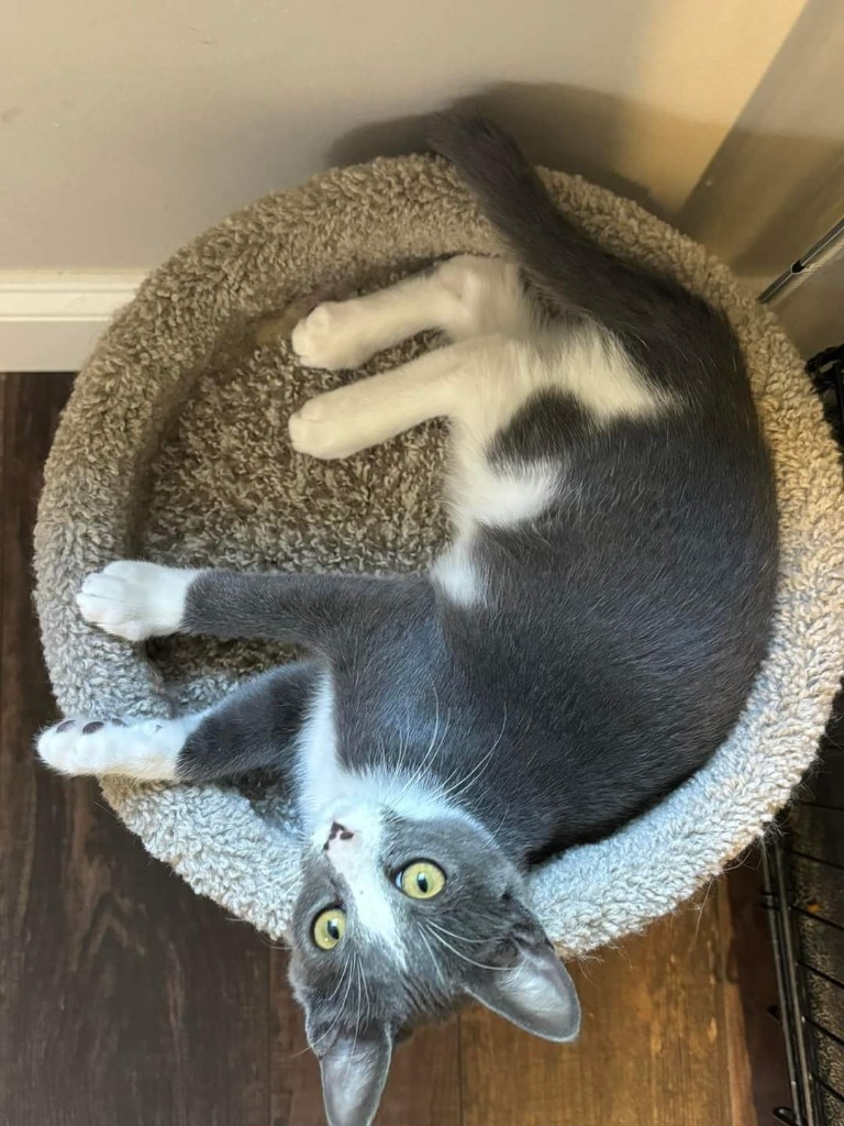 Bonnie