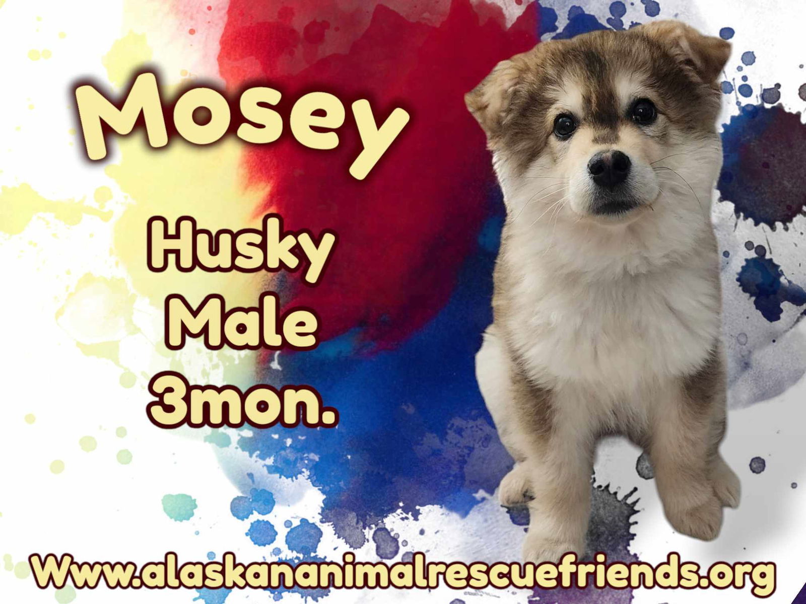 Mosey