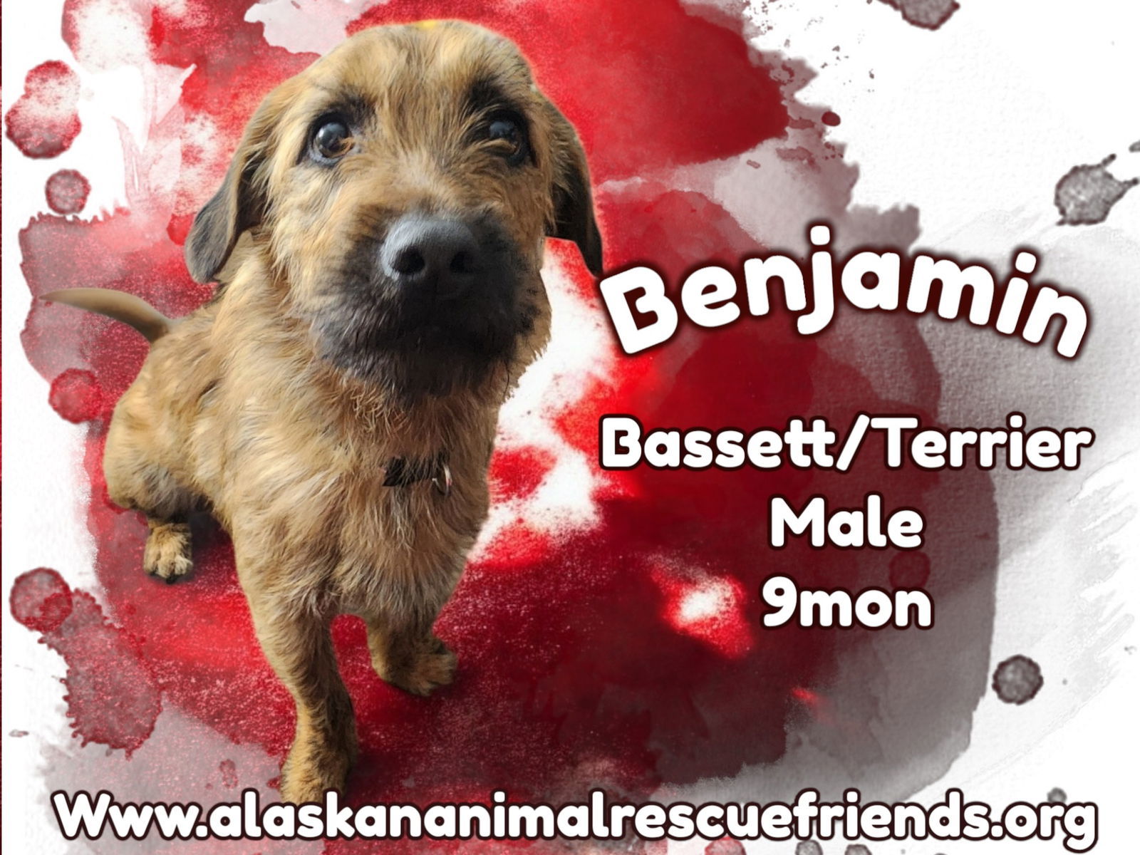 Benjamin