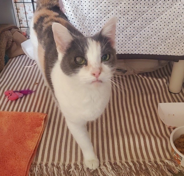 Minnie
