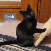 Leah photo 2
