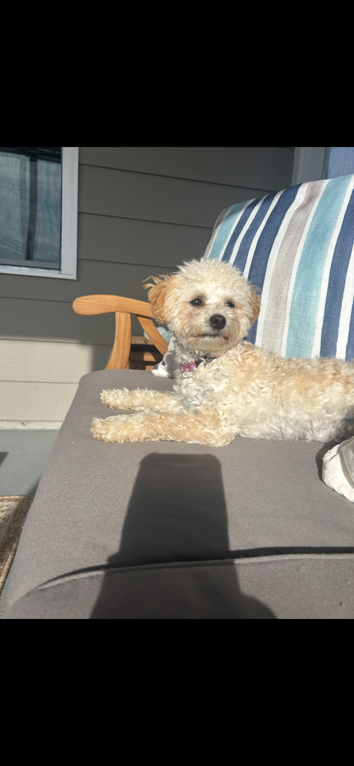 Miso