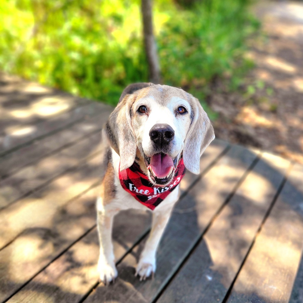 Jack