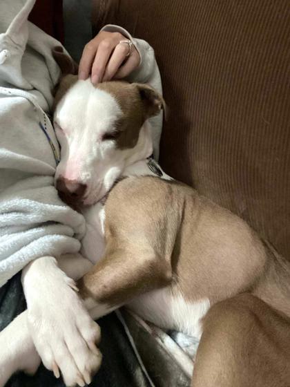 Emmie