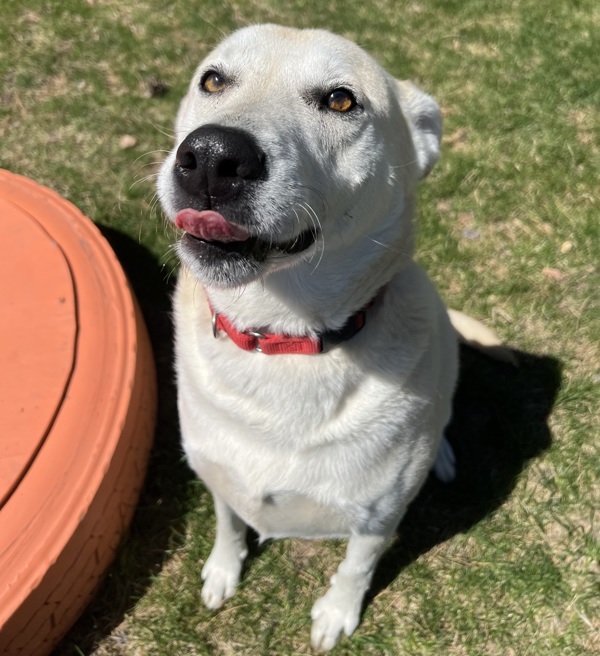 Bernie