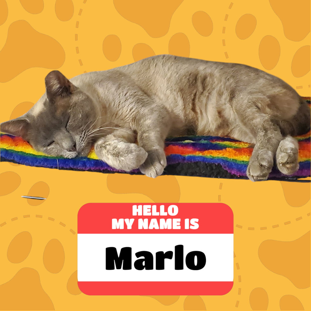 Marlo 4832