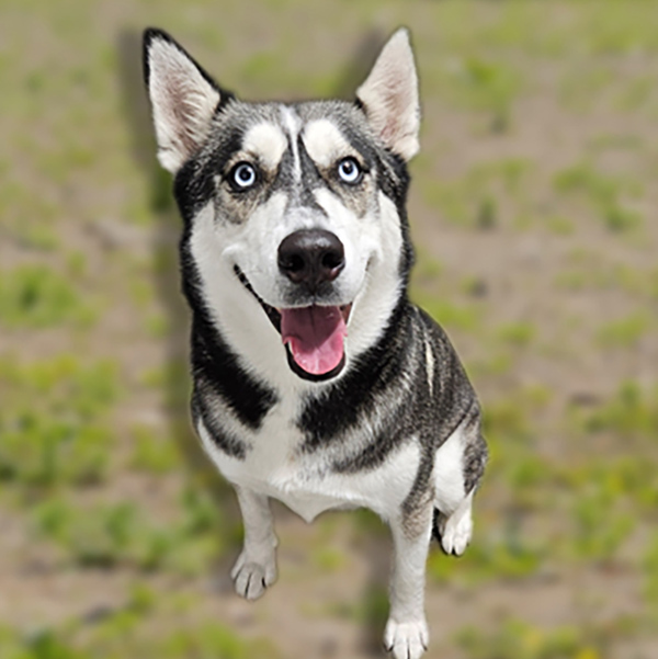 Mia