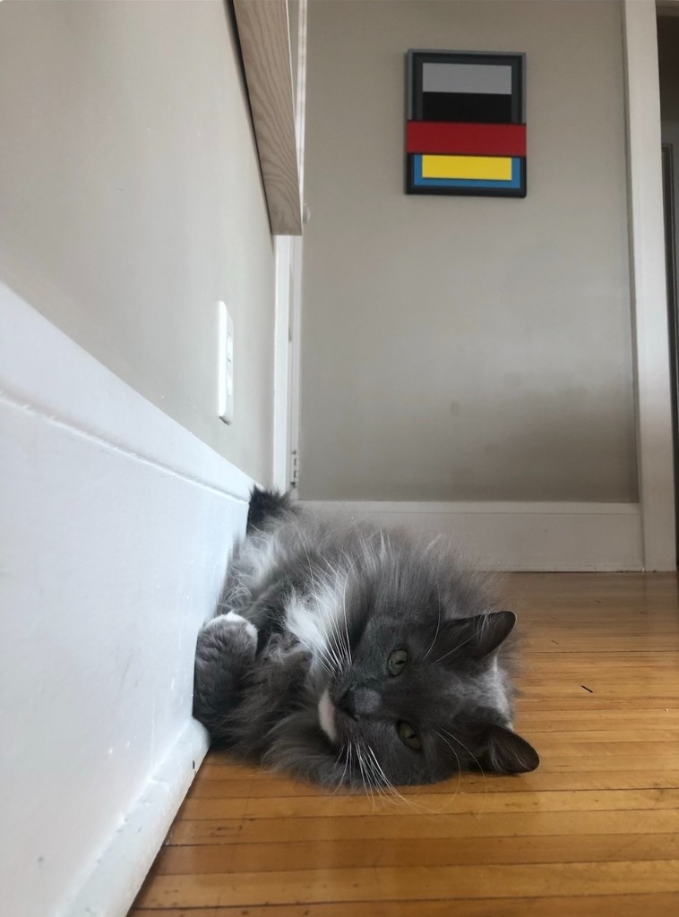 Nacho