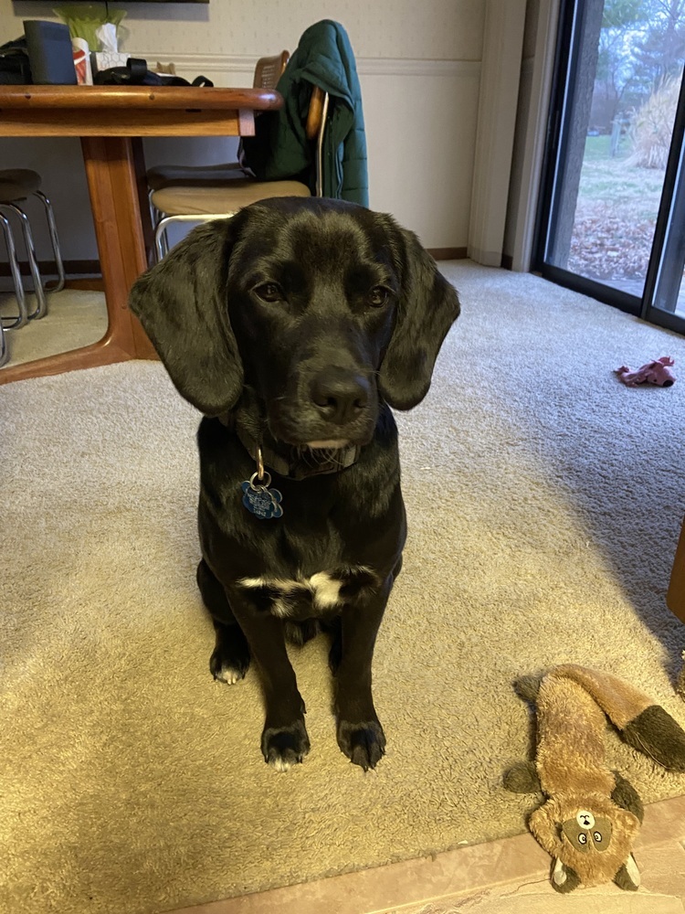 Knox