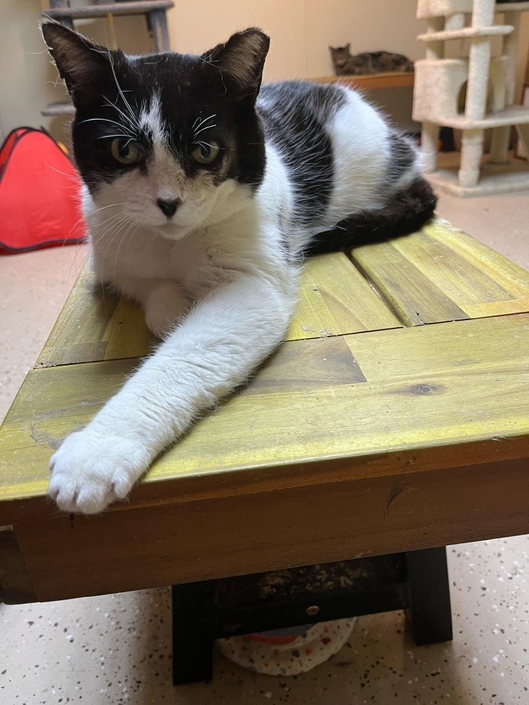 Felix