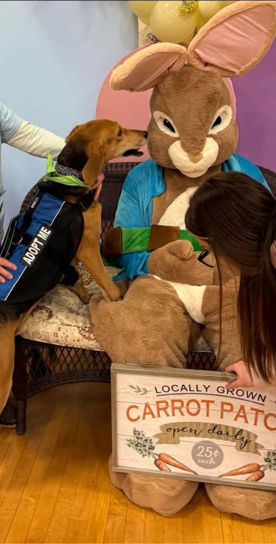Grizzly: Not at shelter (Mark) Sponsored