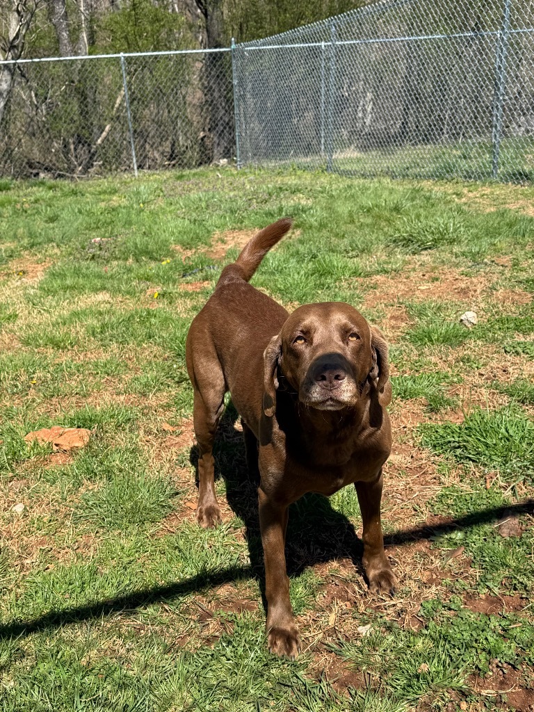 Remi (Remington)