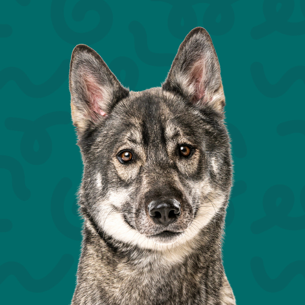 Nuka