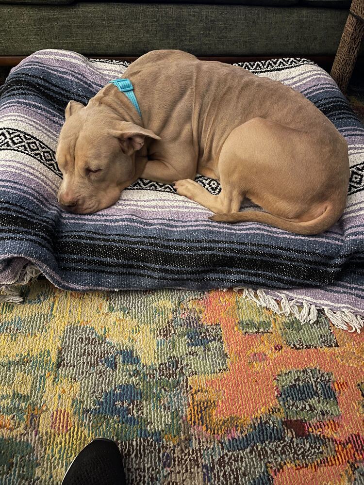 Sunny girl
