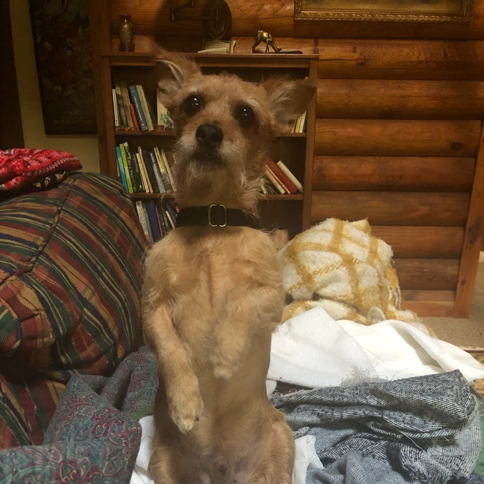 Butch 03-2415