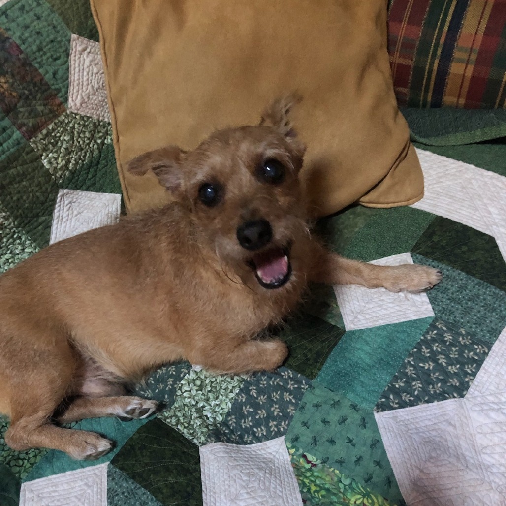 Butch 03-2415