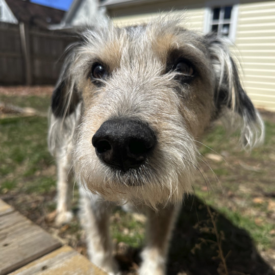 Bernie