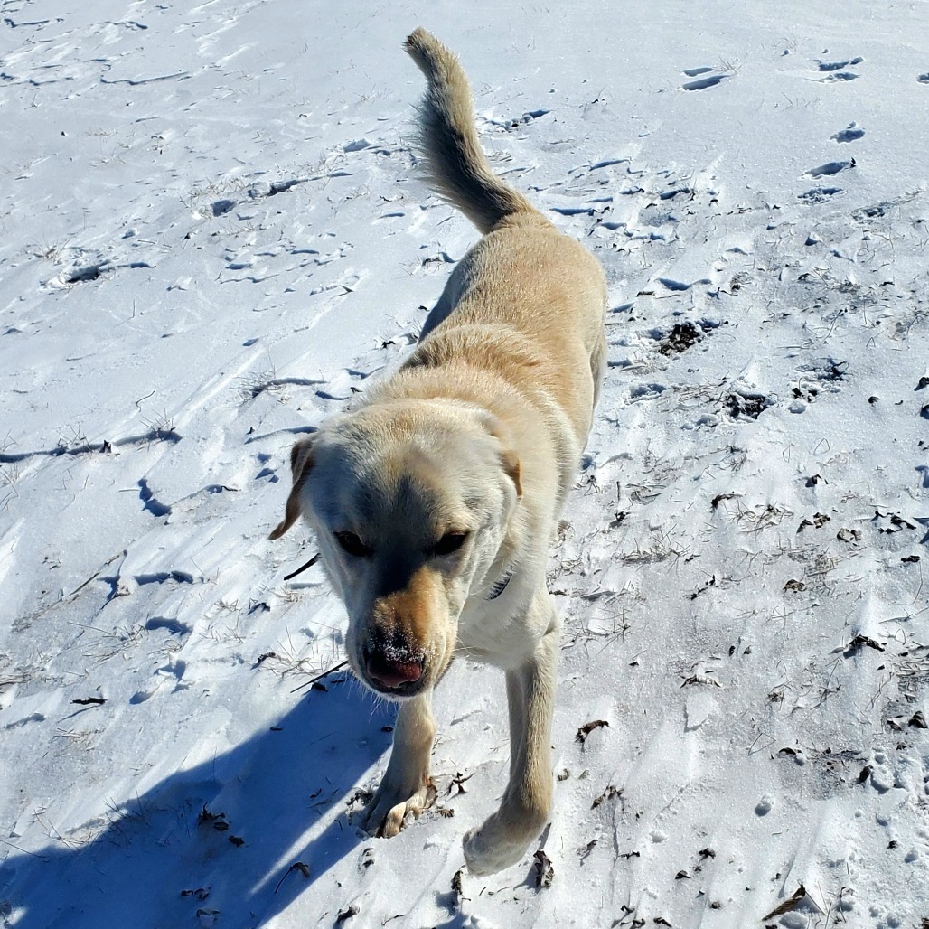 Odin