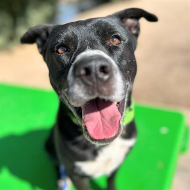 OREO