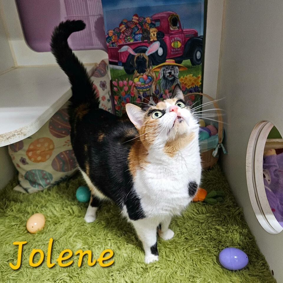 Jolene