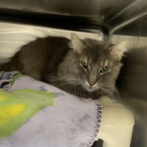 Biff, Senior Male unknown